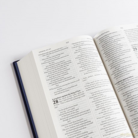 NIV Larger Print Personal Velvet Bible - New International Version [KSIĄŻKA]