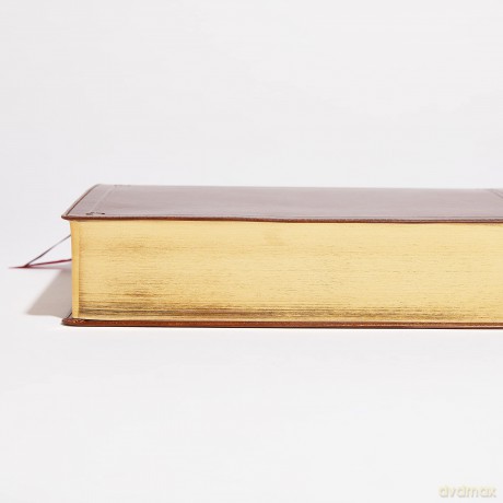 NKJV Study Bible, Leathersoft, Brown, Comfort Print: The Complete Resource for Studying God's Word - Thomas Nelson [KSIĄŻKA]