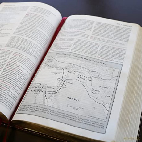 NKJV Study Bible, Leathersoft, Brown, Comfort Print: The Complete Resource for Studying God's Word - Thomas Nelson [KSIĄŻKA]