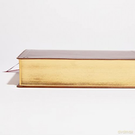 NKJV Study Bible, Leathersoft, Brown, Comfort Print: The Complete Resource for Studying God's Word - Thomas Nelson [KSIĄŻKA]