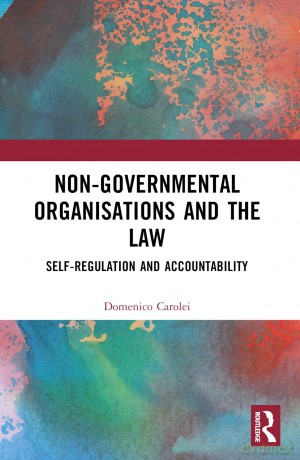 Non-Governmental Organisations and the Law: Self-Regulation and Accountability (Routledge Research in Human Rights Law) - Domenico Carolei [KSIĄŻKA]