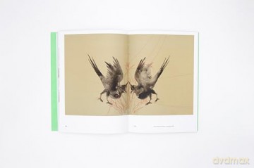 Nusra Latif Qureshi: Birds in Far Pavilions - Matt Cox [KSIĄŻKA]