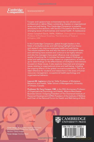 Organizational Stress and Well-Being (Cambridge Companions to Management) - Laurent M. Lapierre [KSIĄŻKA]