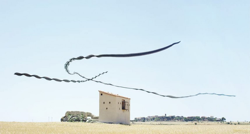 Ornithographies - Xavi Bou [KSIĄŻKA]