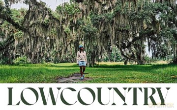 Our South: Black Food Through My Lens - Ashleigh Shanti [KSIĄŻKA]