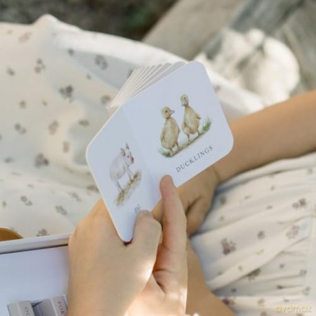 Our Very Little Library Board Book Set: A Foundational Language Vocabulary Board Book Set for Babies (Our Little Adventures Series, 9) - Tabitha Paige [KSIĄŻKA]