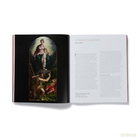 Parmigianino: The Vision of Saint Jerome - Maria Alambritis [KSIĄŻKA]