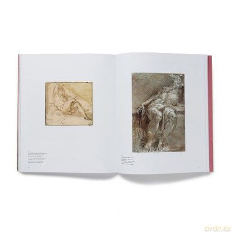 Parmigianino: The Vision of Saint Jerome - Maria Alambritis [KSIĄŻKA]