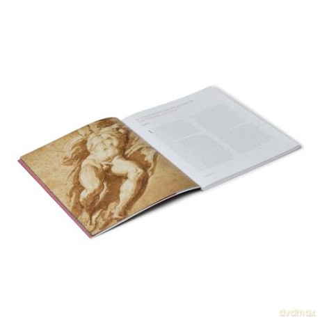 Parmigianino: The Vision of Saint Jerome - Maria Alambritis [KSIĄŻKA]