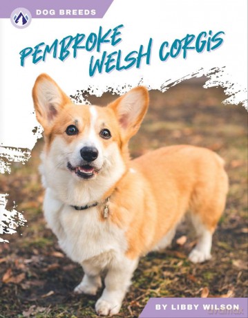 Pembroke Welsh Corgis (Dog Breeds Series) - Wilson [KSIĄŻKA]