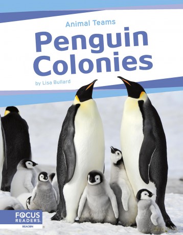 Penguin Colonies (Animal Teams Series) - Bullard [KSIĄŻKA]