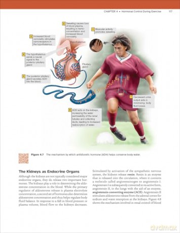 Physiology of Sport and Exercise - W. Larry Kenney [KSIĄŻKA]