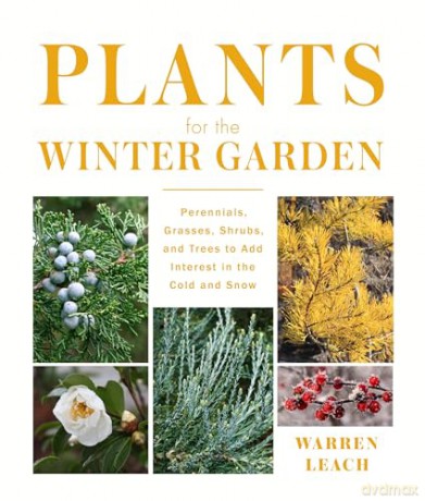 Plants for the Winter Garden: Perennials, Grasses, Shrubs, and Trees to Add Interest in the Cold and Snow - Warren Leach [KSIĄŻKA]