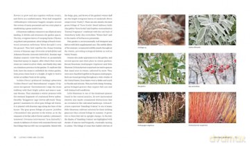 Plants for the Winter Garden: Perennials, Grasses, Shrubs, and Trees to Add Interest in the Cold and Snow - Warren Leach [KSIĄŻKA]