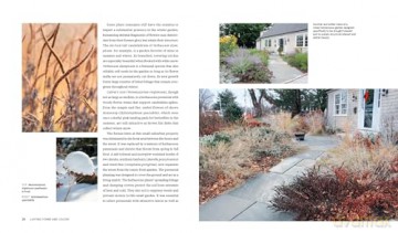 Plants for the Winter Garden: Perennials, Grasses, Shrubs, and Trees to Add Interest in the Cold and Snow - Warren Leach [KSIĄŻKA]
