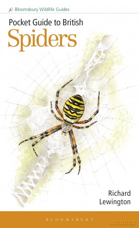 Pocket Guide to British Spiders (Bloomsbury Wildlife Guides) - Richard Lewington [KSIĄŻKA]