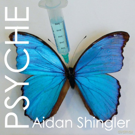 Psyche: the visionary potential of unusual states of consciousness - Aidan Shingler [KSIĄŻKA]