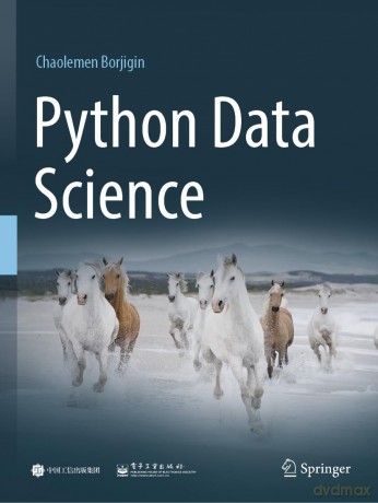 Python Data Science - Chaolemen Borjigin [KSIĄŻKA]