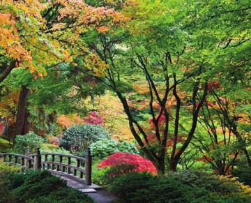 Quiet Beauty: The Japanese Gardens of North America - Kendall H. Brown [KSIĄŻKA]