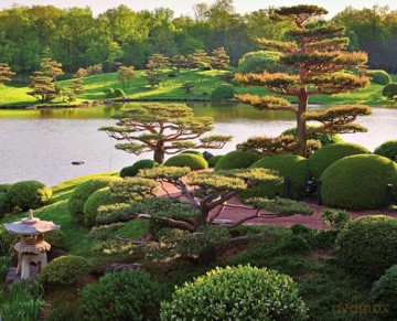 Quiet Beauty: The Japanese Gardens of North America - Kendall H. Brown [KSIĄŻKA]