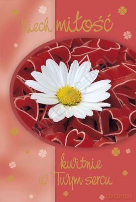 Karnet Najlepsze Życzenia 5 [KSIĄŻKA]