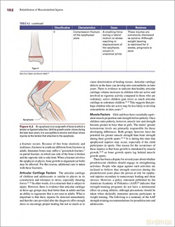 Rehabilitation of Musculoskeletal Injuries - Peggy A. Houglum [KSIĄŻKA]