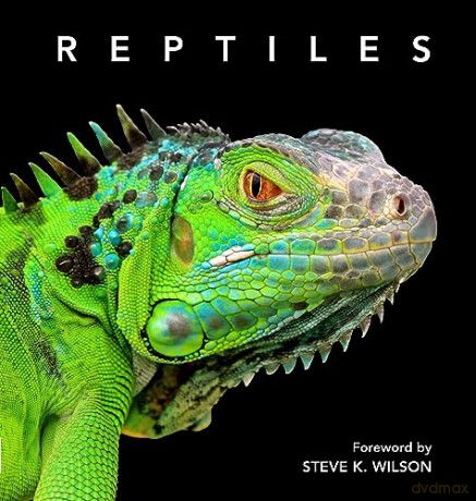 Reptiles: Deluxe Series - Steve Wilson [KSIĄŻKA]