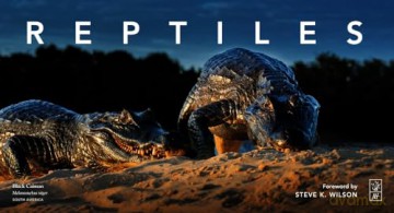 Reptiles: Deluxe Series - Steve Wilson [KSIĄŻKA]