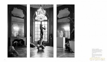 Reza Aramesh: Action: By Number - Bjorn Stern [KSIĄŻKA]