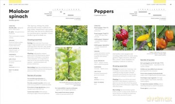RHS Grow Food Anywhere: How to Plant the Right Crops in the Right Place and Help Your Garden Thrive - Lucy Chamberlain [KSIĄŻKA]