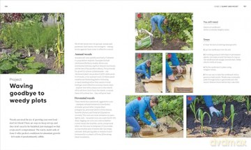RHS Grow Food Anywhere: How to Plant the Right Crops in the Right Place and Help Your Garden Thrive - Lucy Chamberlain [KSIĄŻKA]