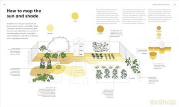 RHS Grow Food Anywhere: How to Plant the Right Crops in the Right Place and Help Your Garden Thrive - Lucy Chamberlain [KSIĄŻKA]