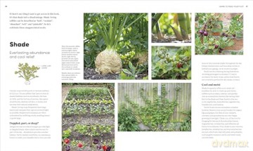 RHS Grow Food Anywhere: How to Plant the Right Crops in the Right Place and Help Your Garden Thrive - Lucy Chamberlain [KSIĄŻKA]