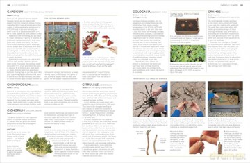 RHS Propagating Plants: How to Grow Plants for Free [KSIĄŻKA]