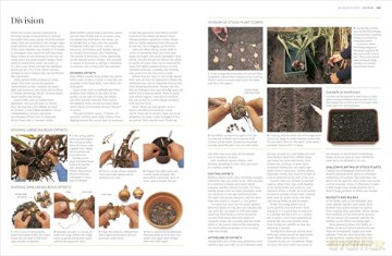 RHS Propagating Plants: How to Grow Plants for Free [KSIĄŻKA]