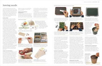 RHS Propagating Plants: How to Grow Plants for Free [KSIĄŻKA]