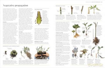 RHS Propagating Plants: How to Grow Plants for Free [KSIĄŻKA]