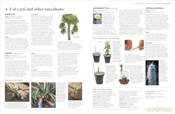 RHS Propagating Plants: How to Grow Plants for Free [KSIĄŻKA]