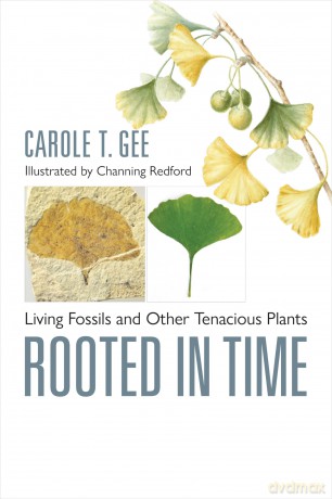 Rooted in Time: Living Fossils and Other Tenacious Plants - Carole T. Gee [KSIĄŻKA]