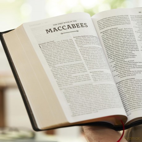 RSV2CE, Thinline Large Print Catholic Bible, Brown Leathersoft, Comfort Print - Catholic Bible Press [KSIĄŻKA]