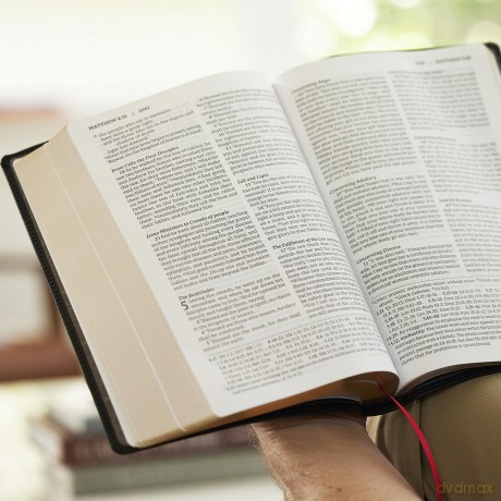 RSV2CE, Thinline Large Print Catholic Bible, Brown Leathersoft, Comfort Print - Catholic Bible Press [KSIĄŻKA]