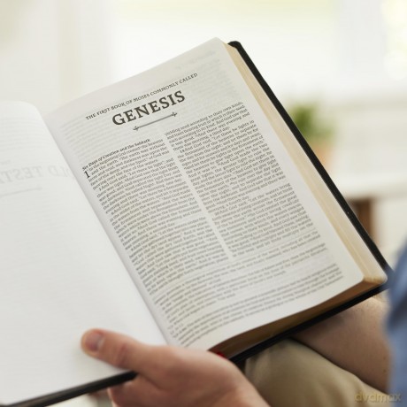 RSV2CE, Thinline Large Print Catholic Bible, Brown Leathersoft, Comfort Print - Catholic Bible Press [KSIĄŻKA]