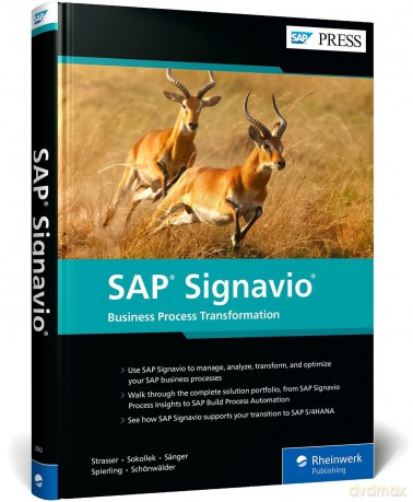 SAP Signavio: Business Process Transformation - Johannes Strasser [KSIĄŻKA]