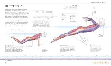 Science of Swimming: Transform Your Stroke, Improve Strength, Revolutionize Your Training - Brett Hawke [KSIĄŻKA]