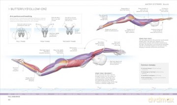 Science of Swimming: Transform Your Stroke, Improve Strength, Revolutionize Your Training - Brett Hawke [KSIĄŻKA]