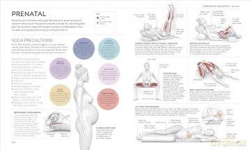 Science of Yoga: Understand the Anatomy and Physiology to Perfect Your Practice - Ann Swanson [KSIĄŻKA]