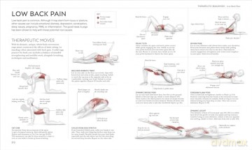 Science of Yoga: Understand the Anatomy and Physiology to Perfect Your Practice - Ann Swanson [KSIĄŻKA]