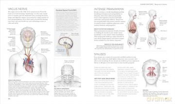 Science of Yoga: Understand the Anatomy and Physiology to Perfect Your Practice - Ann Swanson [KSIĄŻKA]