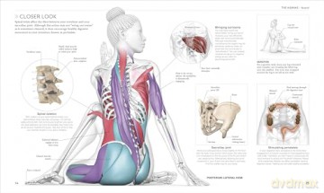 Science of Yoga: Understand the Anatomy and Physiology to Perfect Your Practice - Ann Swanson [KSIĄŻKA]