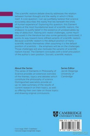 Scientific Realism (Elements in the Philosophy of Science) - Timothy D. Lyons [KSIĄŻKA]